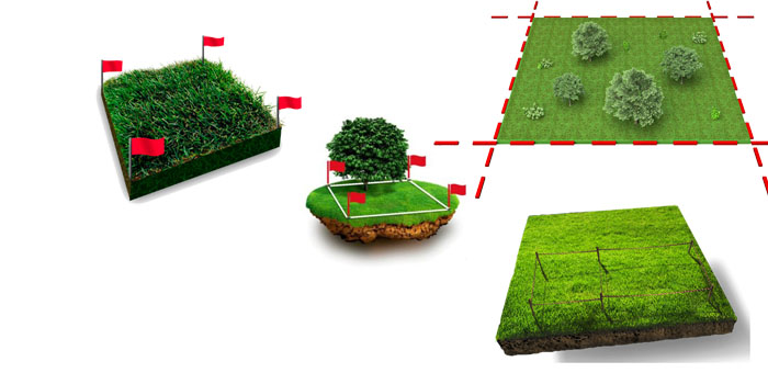 винос меж земельної ділянки в натуру