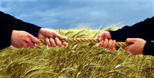 Проблема «реєстраційного» рейдерства в Україні. Шляхи вирішення